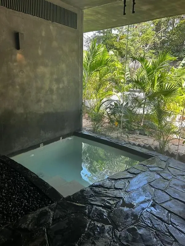شقة 5 Star Luxury Condo With Infinity And Cenote Pools تولوم المكسيك