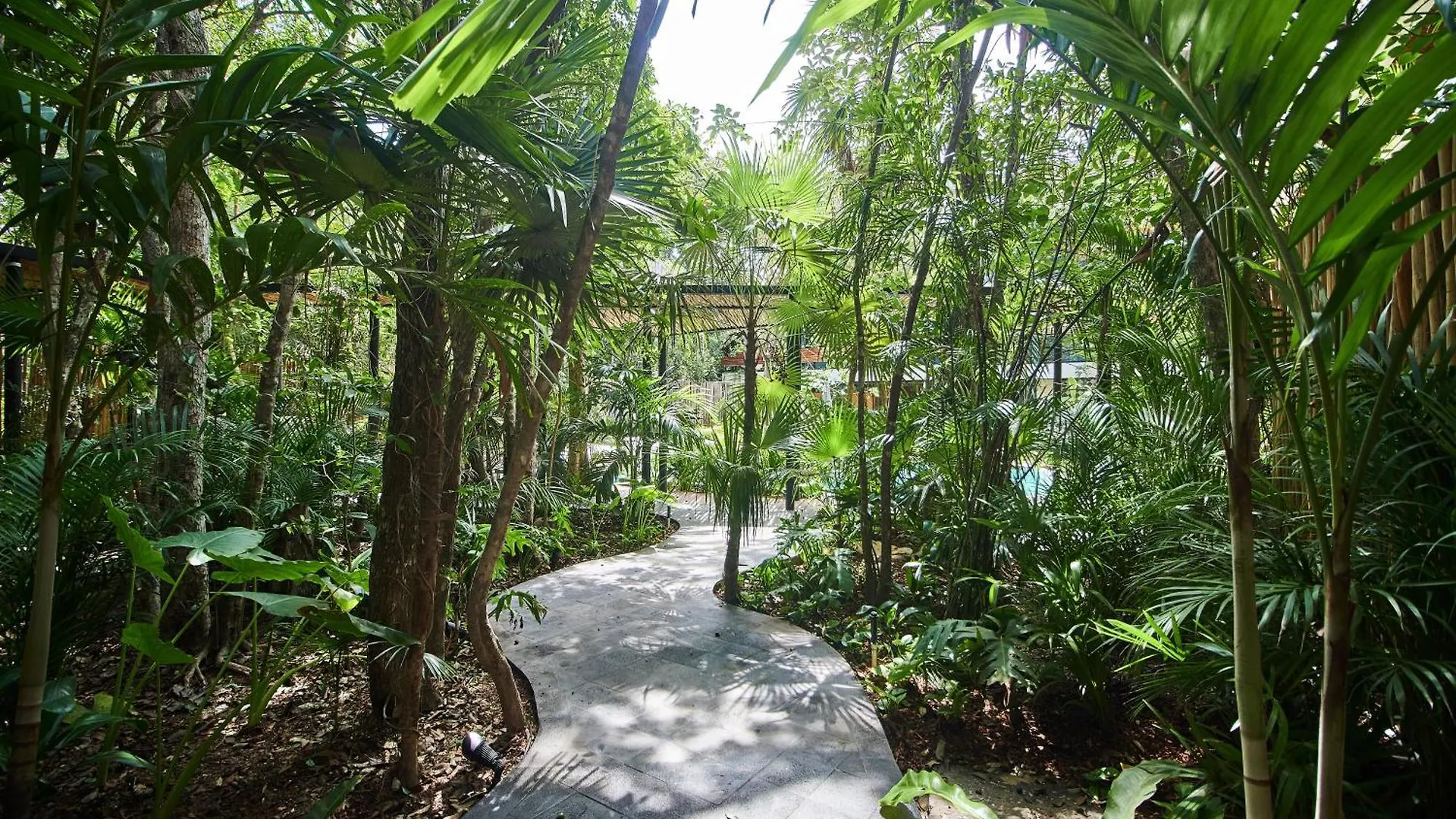 5 Star Luxury Condo With Infinity And Cenote Pools تولوم